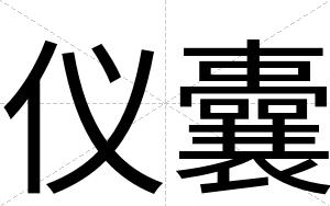 仪囊