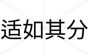 适如其分