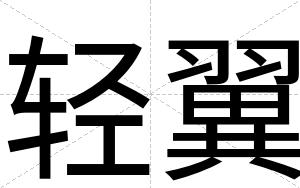 轻翼