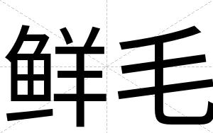 鲜毛