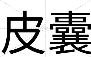 皮囊