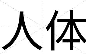 人体