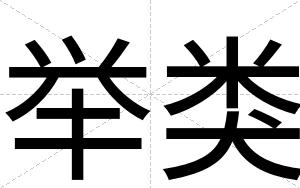 举类