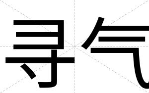 寻气