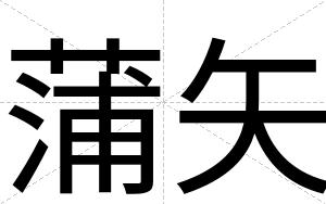 蒲矢