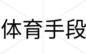 体育手段