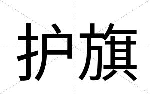 护旗