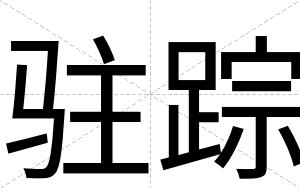 驻踪