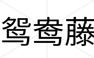 鸳鸯藤