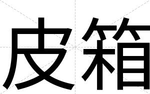 皮箱