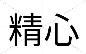 精心