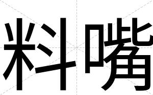 料嘴