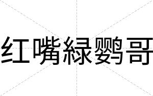 红嘴緑鹦哥