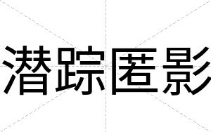 潜踪匿影