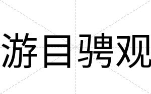 游目骋观