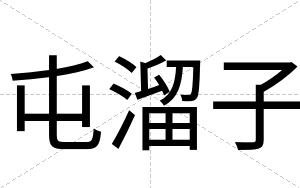 屯溜子