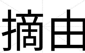 摘由