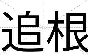 追根