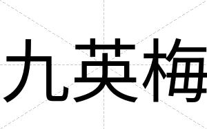 九英梅