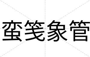 蛮笺象管