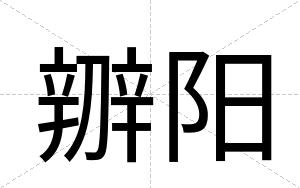 辧阳
