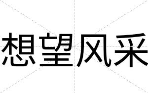 想望风采