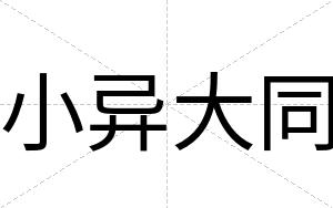 小异大同