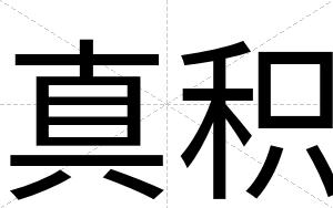 真积