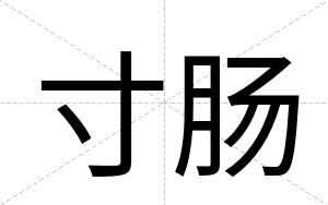 寸肠