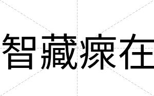 智藏瘝在
