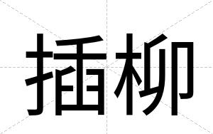 插柳