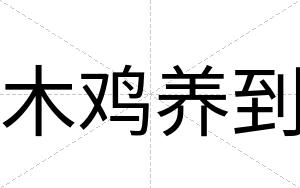 木鸡养到