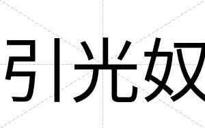 引光奴