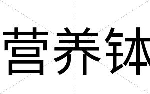 营养钵