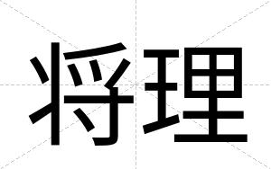 将理