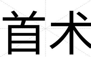 首术
