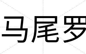 马尾罗