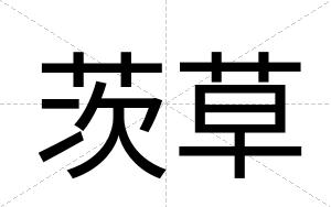 茨草