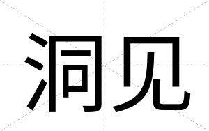 洞见