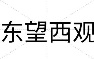 东望西观