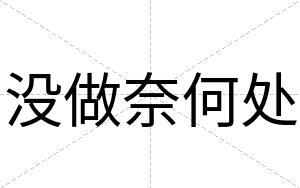 没做奈何处