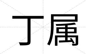 丁属