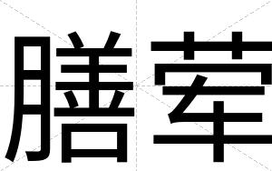 膳荤