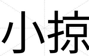 小掠