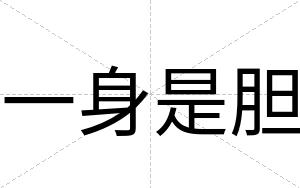 一身是胆