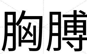 胸膊
