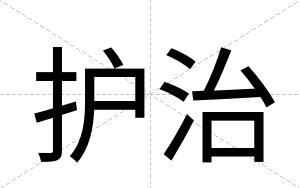 护治
