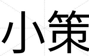 小策