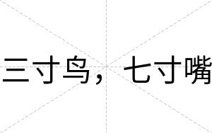 三寸鸟，七寸嘴