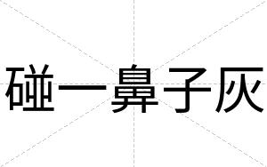 碰一鼻子灰